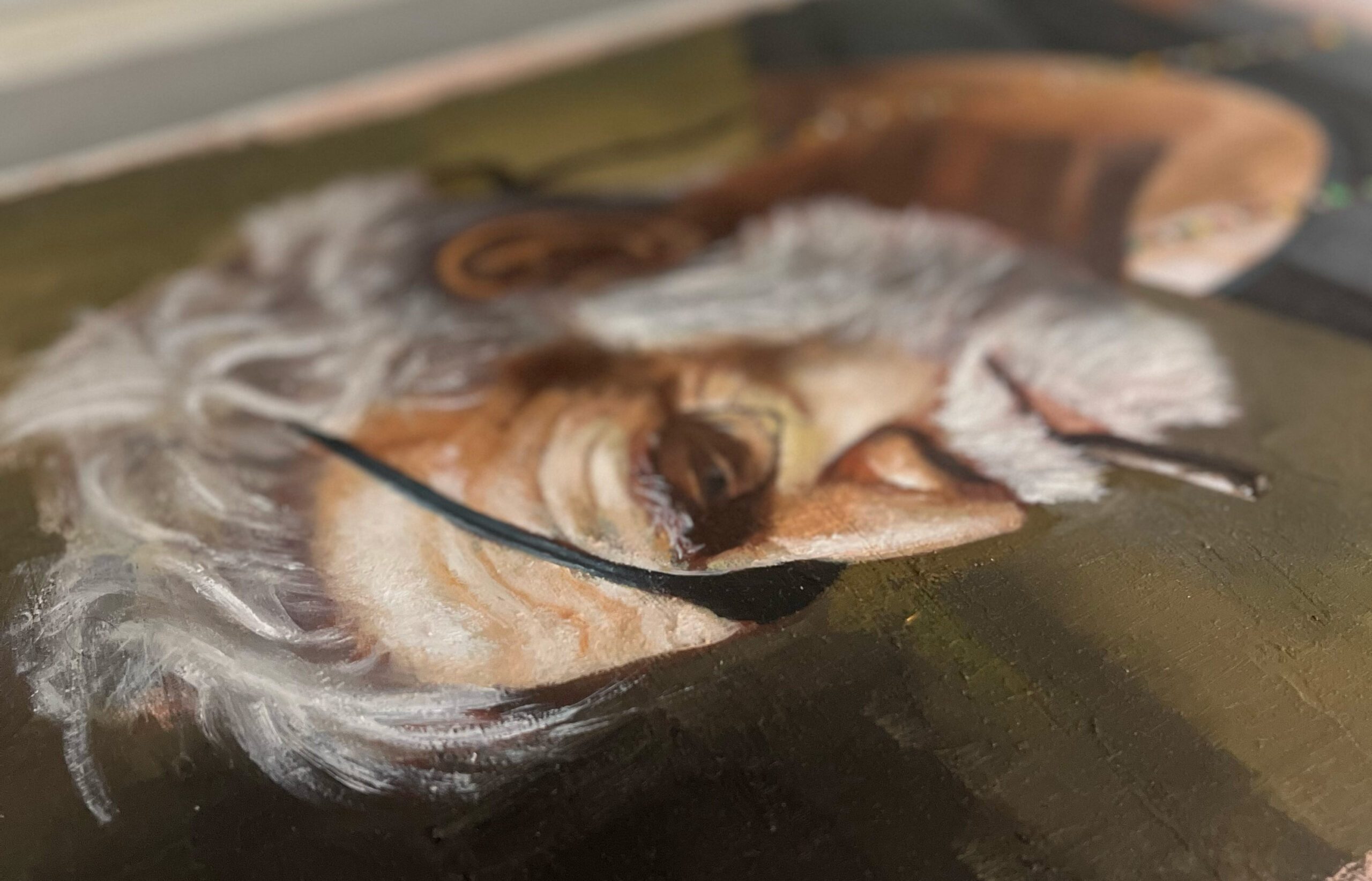 Portraits